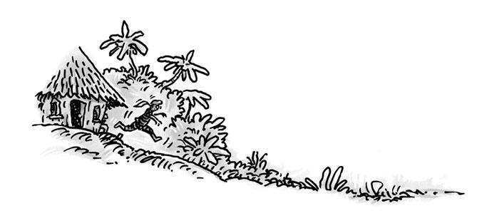 Иллюстрация к книге — Возвращение на остров Ним [i_045.jpg]