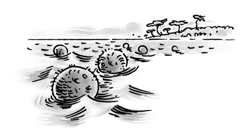 Иллюстрация к книге — Возвращение на остров Ним [i_048.jpg]