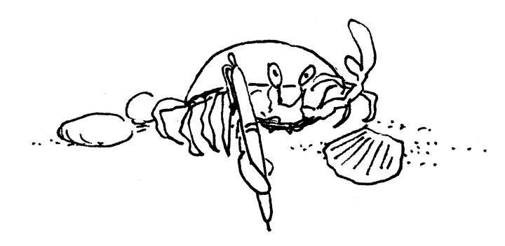 Иллюстрация к книге — Ним и море [i_001.jpg]