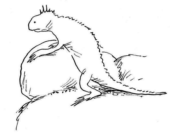 Иллюстрация к книге — Ним и море [i_008.jpg]