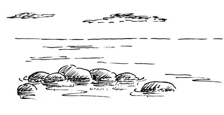 Иллюстрация к книге — Ним и море [i_023.jpg]