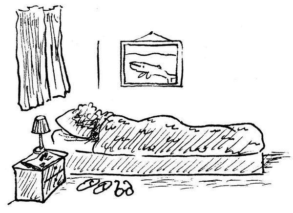 Иллюстрация к книге — Ним и море [i_027.jpg]