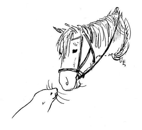 Иллюстрация к книге — Ним и море [i_066.jpg]