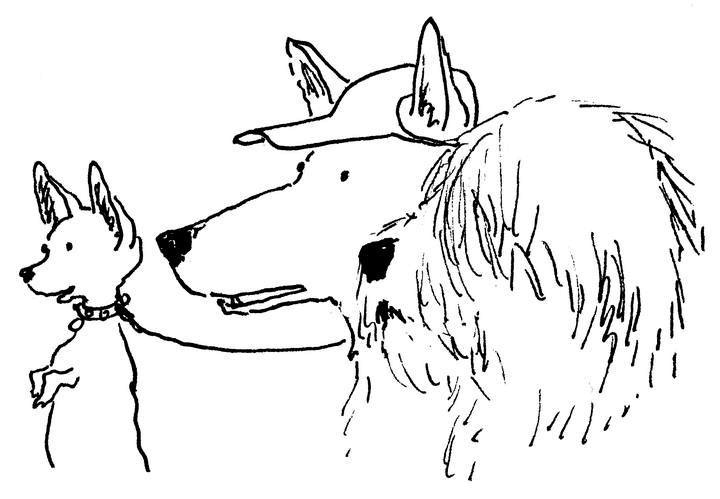 Иллюстрация к книге — Ним и море [i_070.jpg]