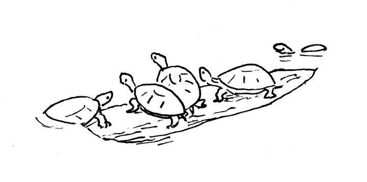 Иллюстрация к книге — Ним и море [i_075.jpg]