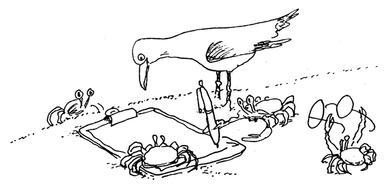 Иллюстрация к книге — Остров Ним [i_004.jpg]