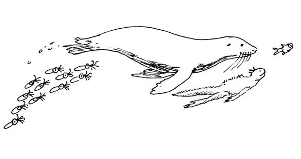 Иллюстрация к книге — Остров Ним [i_016.jpg]