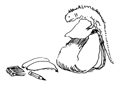 Иллюстрация к книге — Остров Ним [i_018.jpg]