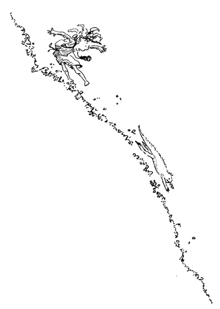 Иллюстрация к книге — Остров Ним [i_019.jpg]