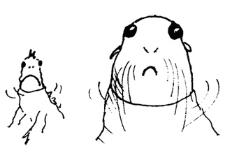 Иллюстрация к книге — Остров Ним [i_025.jpg]