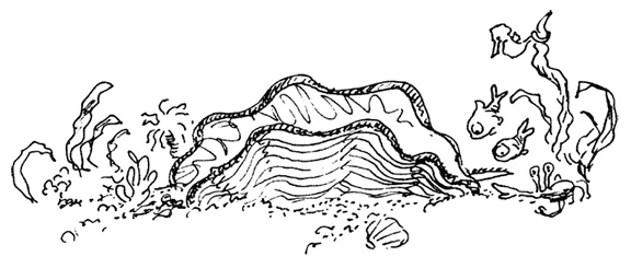 Иллюстрация к книге — Остров Ним [i_026.jpg]