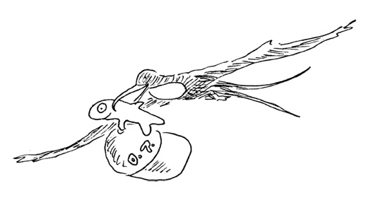 Иллюстрация к книге — Остров Ним [i_028.jpg]