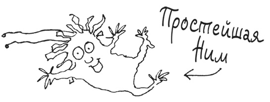 Иллюстрация к книге — Остров Ним [i_029.jpg]