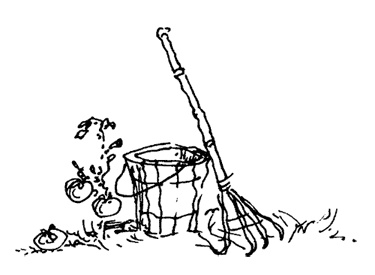 Иллюстрация к книге — Остров Ним [i_037.jpg]