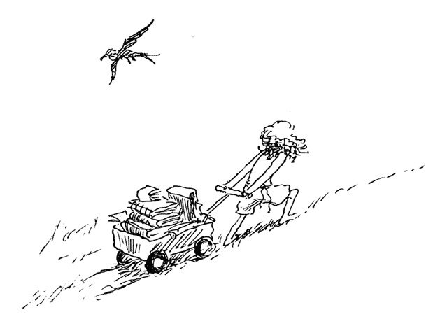 Иллюстрация к книге — Остров Ним [i_038.jpg]