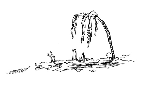 Иллюстрация к книге — Остров Ним [i_044.jpg]