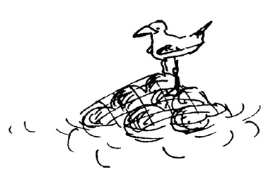 Иллюстрация к книге — Остров Ним [i_046.jpg]