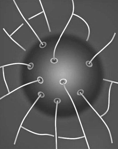 Иллюстрация к книге — Нереальная реальность. Путешествие по квантовой петле [i_065.jpg]