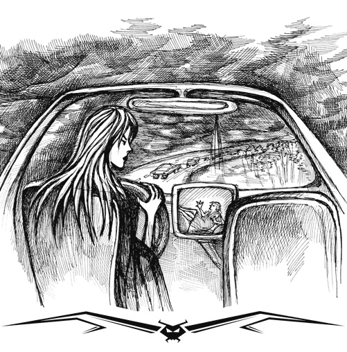 Иллюстрация к книге — Влада. Время Теней [i_003.jpg]