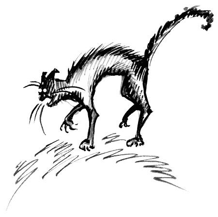 Иллюстрация к книге — Влада. Время Теней [i_025.jpg]