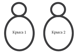 Иллюстрация к книге — Умные калории: как больше есть, меньше тренироваться, похудеть и жить лучше [i_026.jpg]