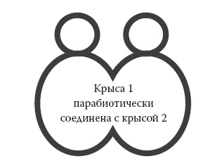Иллюстрация к книге — Умные калории: как больше есть, меньше тренироваться, похудеть и жить лучше [i_027.jpg]