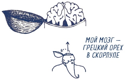 Иллюстрация к книге — В моей голове [i_017.jpg]