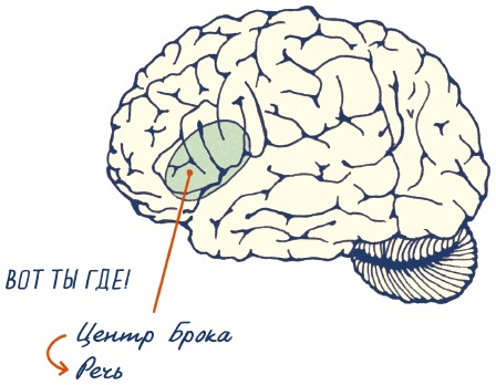 Иллюстрация к книге — В моей голове [i_018.jpg]