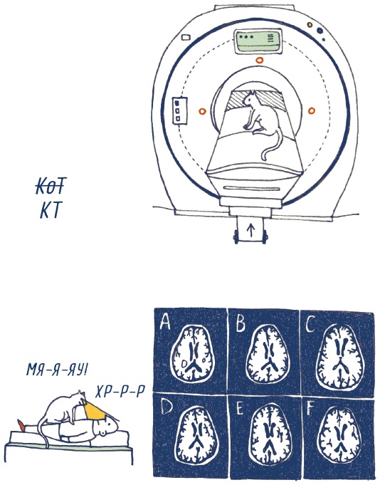 Иллюстрация к книге — В моей голове [i_020.jpg]
