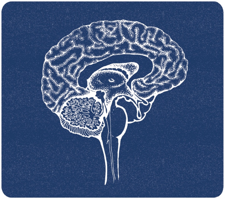 Иллюстрация к книге — В моей голове [i_021.jpg]