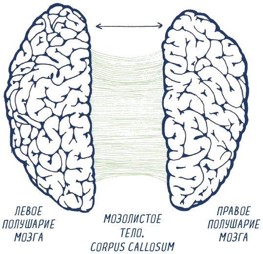 Иллюстрация к книге — В моей голове [i_025.jpg]