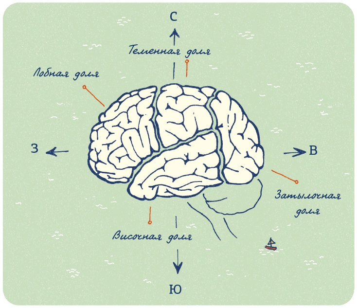 Иллюстрация к книге — В моей голове [i_026.jpg]