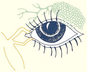 Иллюстрация к книге — В моей голове [i_046.jpg]