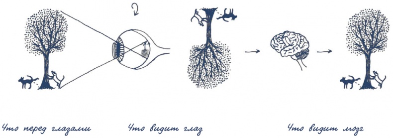 Иллюстрация к книге — В моей голове [i_048.jpg]