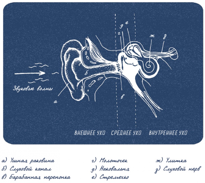 Иллюстрация к книге — В моей голове [i_058.jpg]