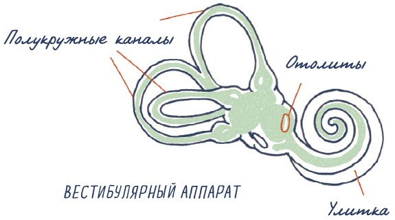 Иллюстрация к книге — В моей голове [i_059.jpg]