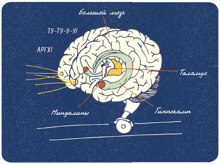 Иллюстрация к книге — В моей голове [i_068.jpg]