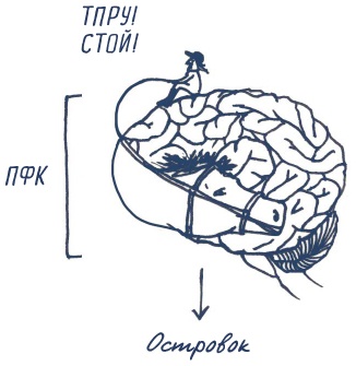 Иллюстрация к книге — В моей голове [i_069.jpg]