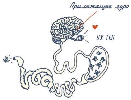 Иллюстрация к книге — В моей голове [i_071.jpg]