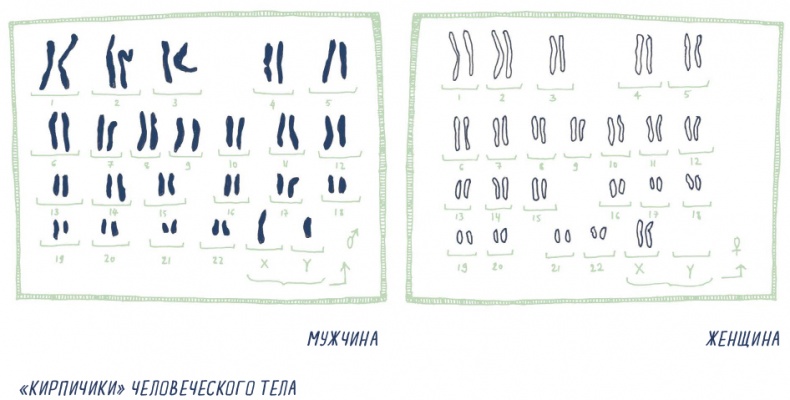 Иллюстрация к книге — В моей голове [i_076.jpg]