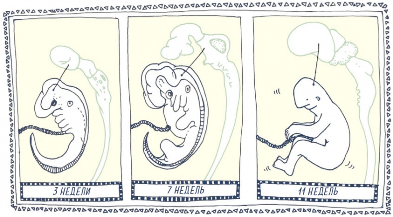 Иллюстрация к книге — В моей голове [i_077.jpg]