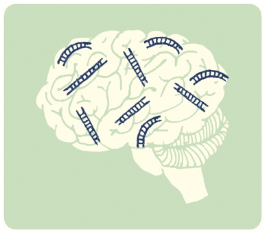 Иллюстрация к книге — В моей голове [i_078.jpg]