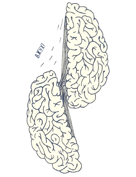 Иллюстрация к книге — В моей голове [i_082.jpg]