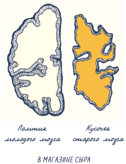 Иллюстрация к книге — В моей голове [i_083.jpg]