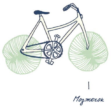 Иллюстрация к книге — В моей голове [i_089.jpg]