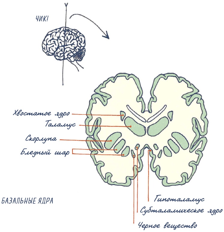 Иллюстрация к книге — В моей голове [i_098.jpg]