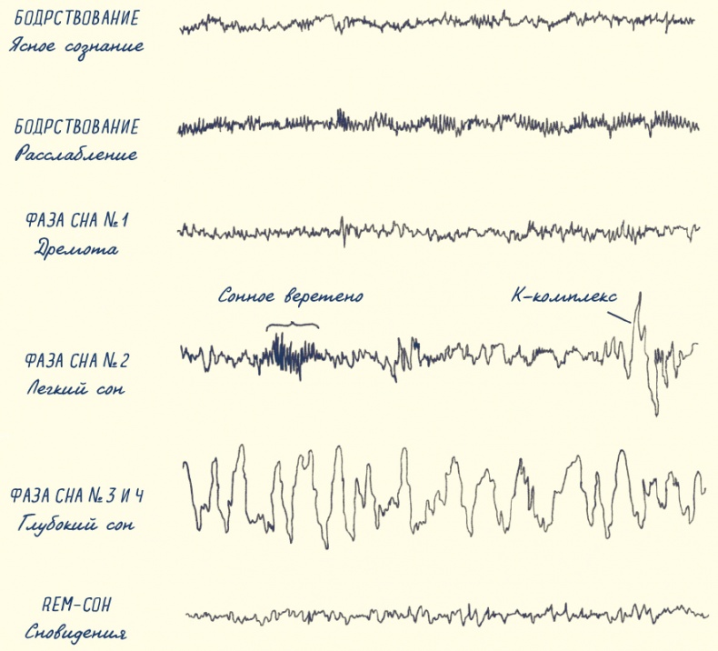 Иллюстрация к книге — В моей голове [i_109.jpg]