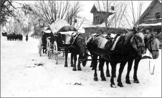 Иллюстрация к книге — Освобождение Калинина [i_030.jpg]