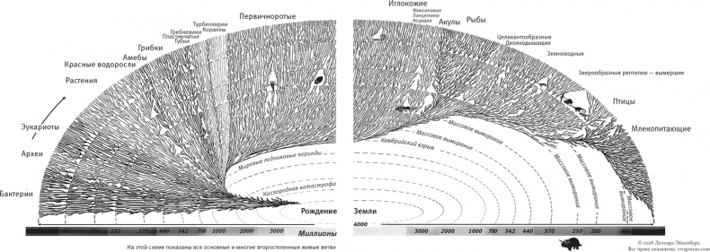 Иллюстрация к книге — Насосы интуиции и другие инструменты мышления [i_017.jpg]