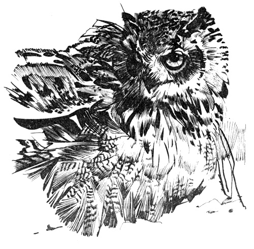 Иллюстрация к книге — Зоопарки [i_007.jpg]